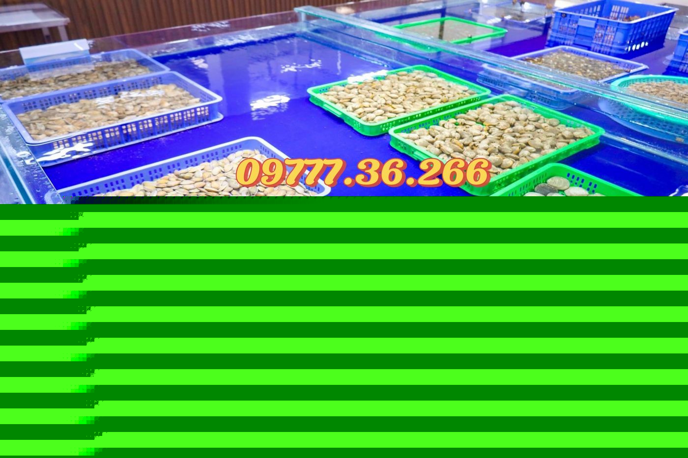 Dự án Vựa Hải Sản Bãi Cháy Hạ Long – lắp đặt dàn bể hải sản siêu thị SeaHome