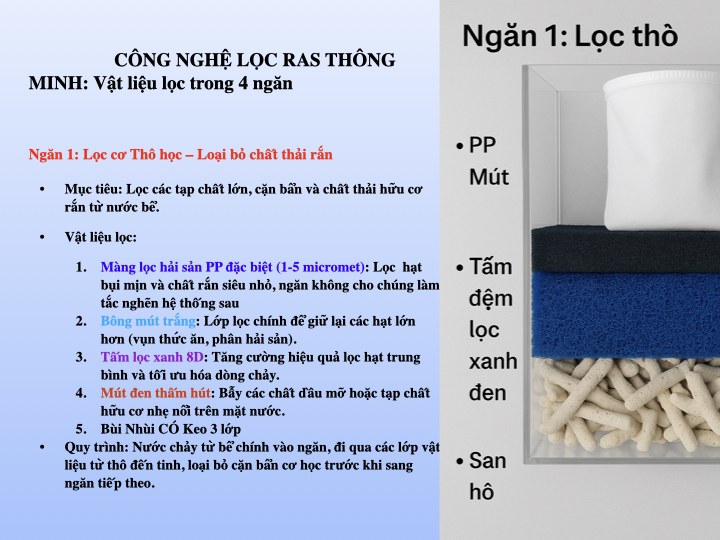 Hệ thống 4 ngăn lọc thô RAS SeaHome - màng lọc PP, bông mút, tấm lọc 8D