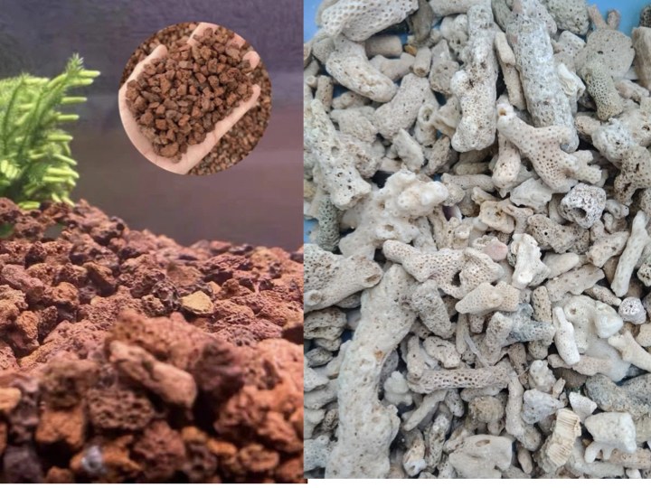 Nham thạch đỏ vật liệu lọc sinh học – công nghệ lọc tuần hoàn RAS SeaHome