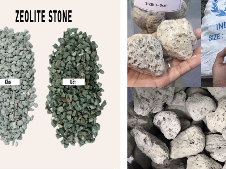Zeolite stone và đá bọc lava nhập khẩu Indonesia - lọc hóa học bể hải sản SeaHome